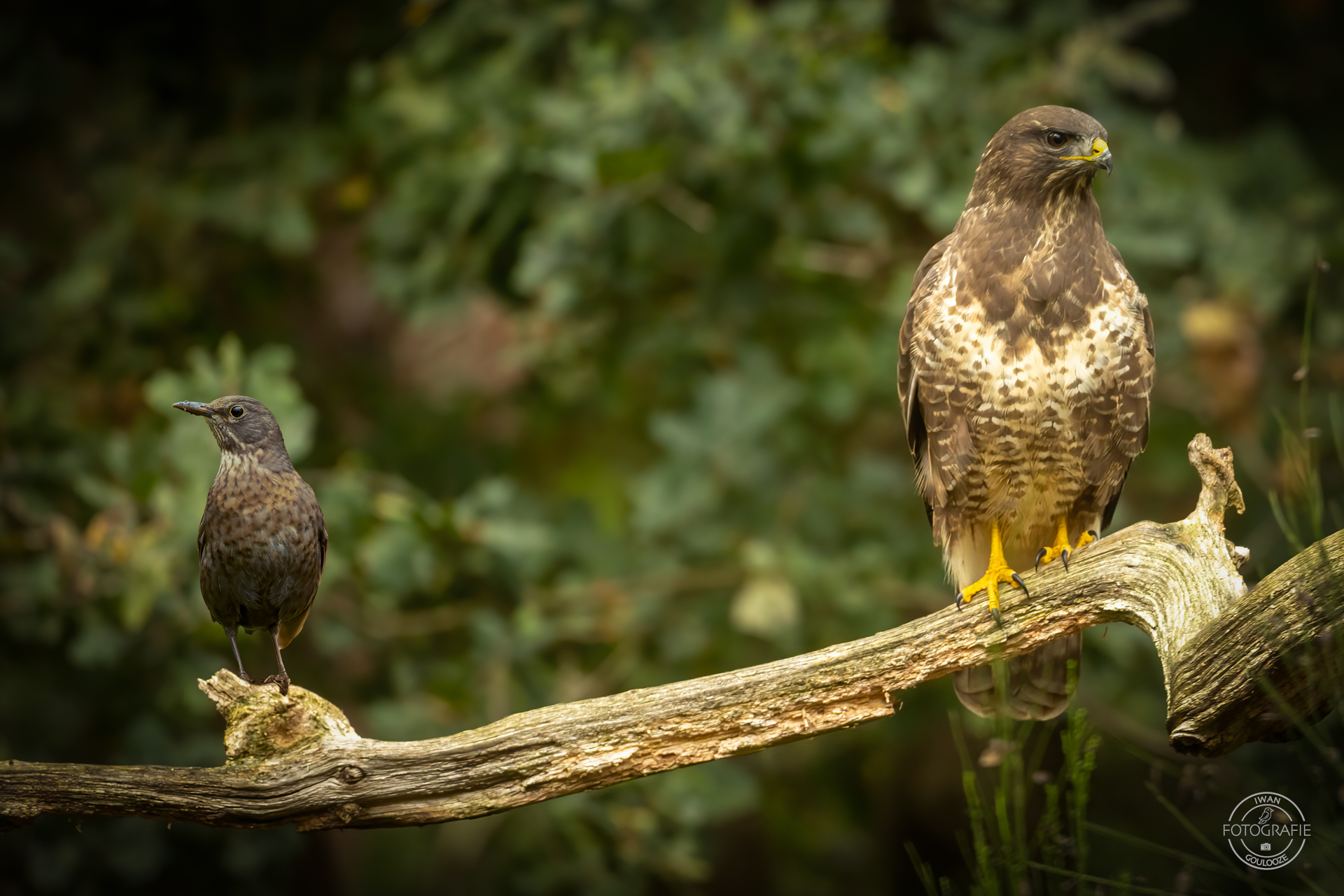 23 oktober 2022 164124 1R2A1946 bewerkt bewerkt